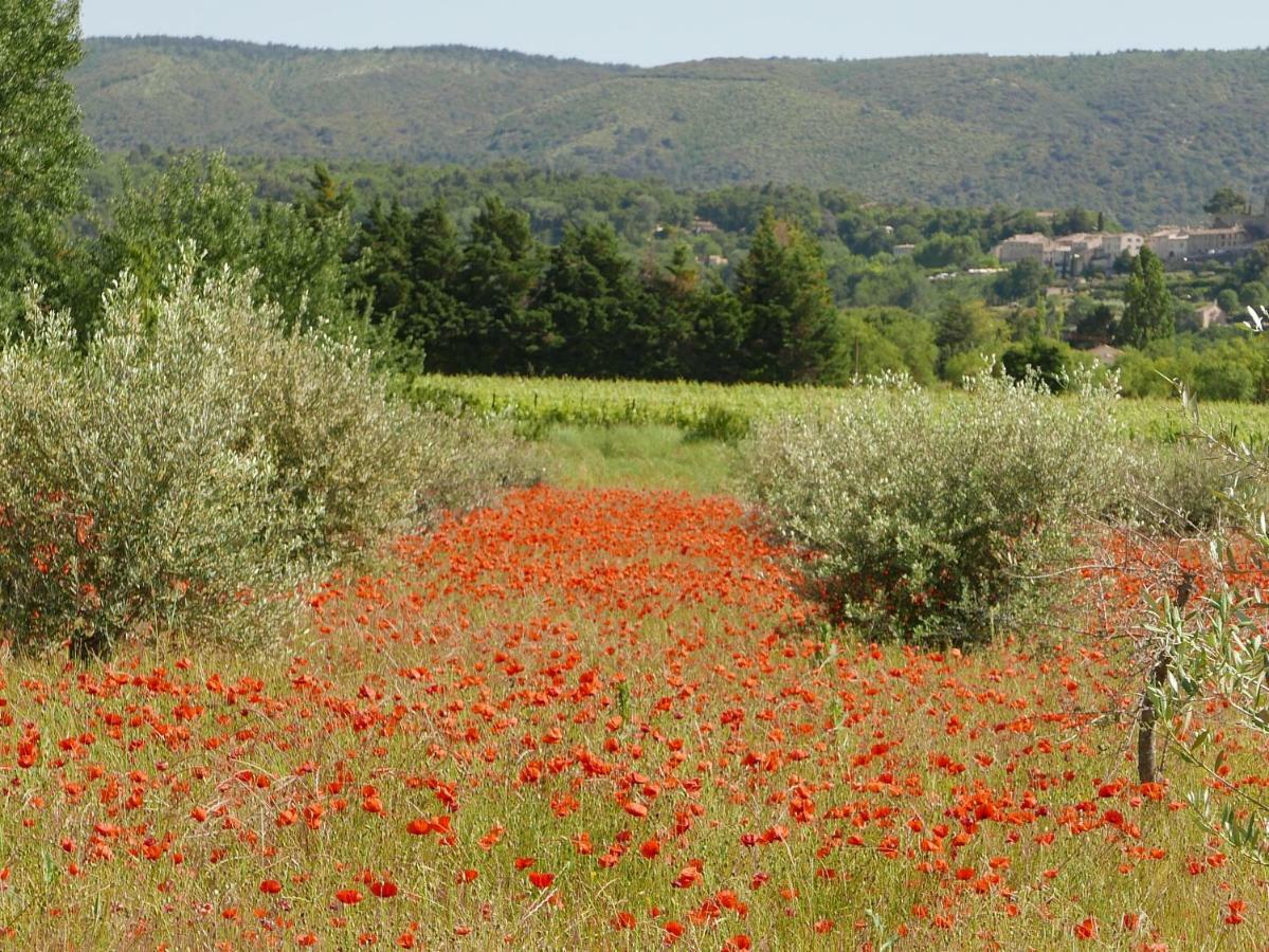 מונברון-לה-בה Chateau Des Gipieres Bij De Mont Ventoux מראה חיצוני תמונה